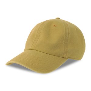 DIGG-S